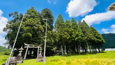 苅田姫神社(福井県)