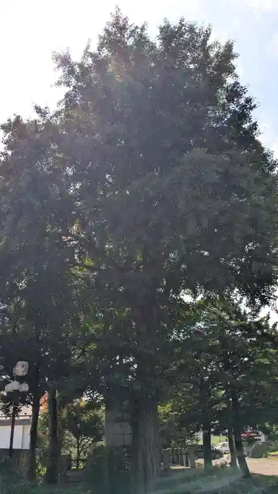 本願寺帯広別院の自然