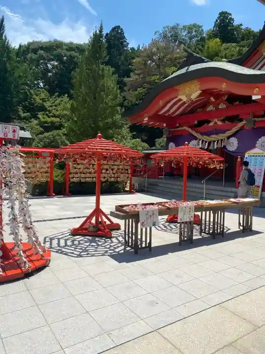 宮城縣護國神社のおみくじ