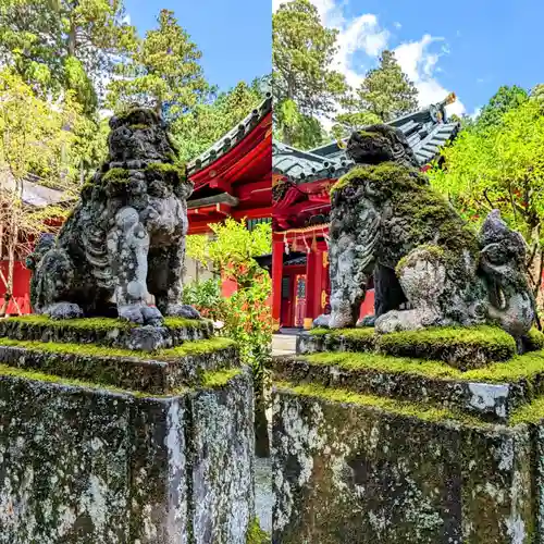 箱根神社の狛犬