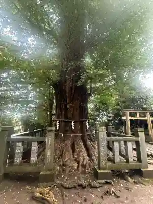 伊達神社(宮城県)