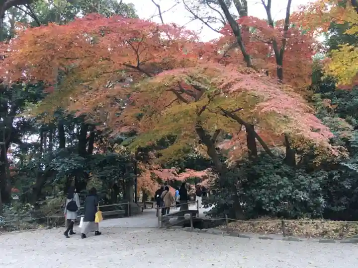 賀茂御祖神社(下鴨神社)の自然