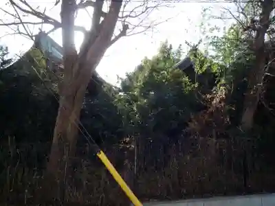 道野辺八幡宮(千葉県)