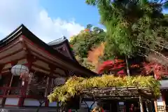 鞍馬寺(京都府)