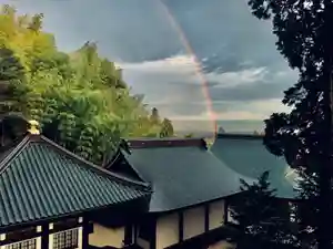大雄院の自然(2019年07月09日(火) 12時40分10秒投稿)