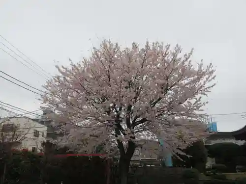 東光寺(神奈川県)