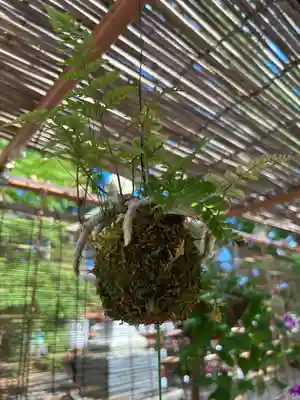 國魂神社のお祭り