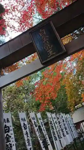 若宮神明社の鳥居