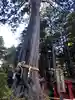 北口本宮冨士浅間神社(山梨県)