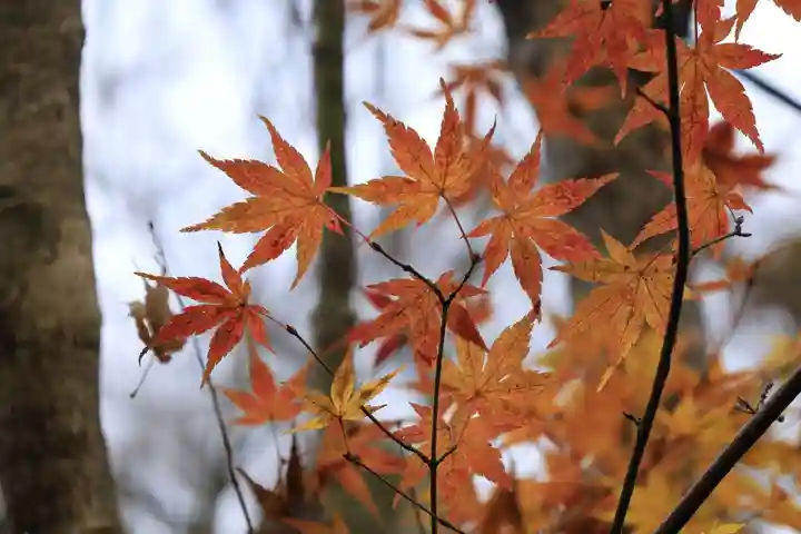 寂光院(京都府)