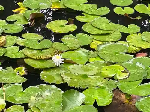 大原野神社(京都府)