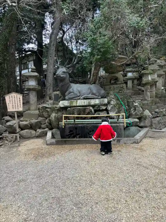 春日大社(奈良県)