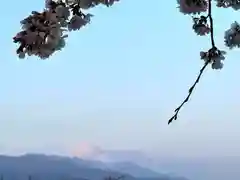 白鳥神社(長野県)