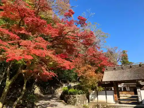 永源寺の山門・神門