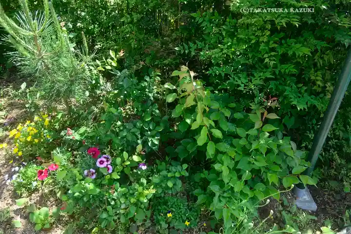 横浜御嶽神社(神奈川県)