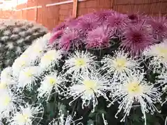 湯島天満宮の芸術