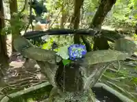 法然院(京都府)