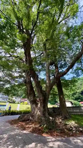 諏訪大社上社前宮(長野県)