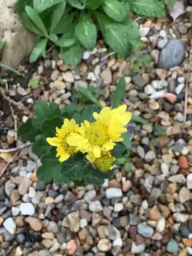 三輪神社の自然