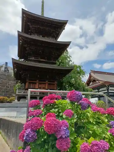明鏡寺(神奈川県)