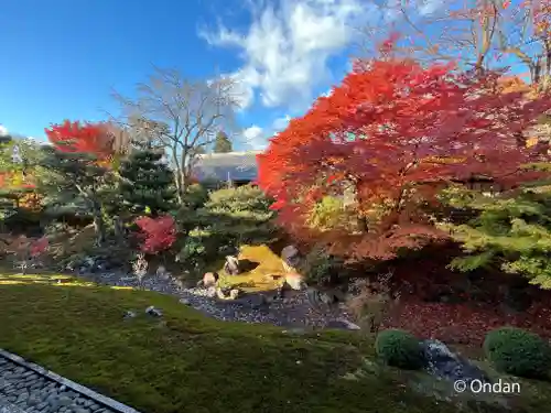 相国寺（相国承天禅寺）の自然