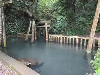 鹿島神宮(茨城県)