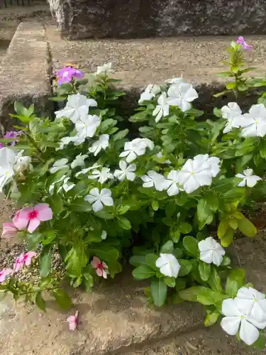 椿ノ海　水神社(千葉県)