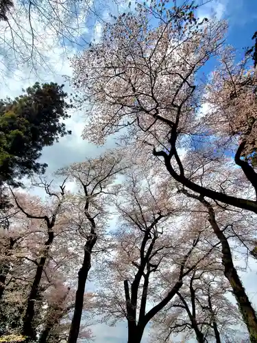神炊館神社 ⁂奥州須賀川総鎮守⁂(福島県)