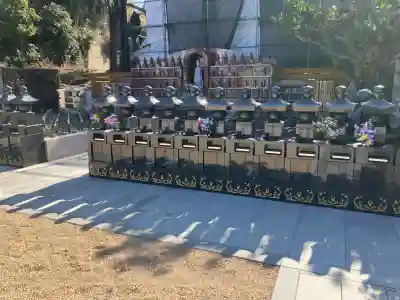 勧行寺の{uncategorized: "未分類", other: "その他", undefined: "問題あり", building: "その他建物", grave: "お墓", sacred_gate: "鳥居", guardian: "狛犬", statue: "像", buddha: "仏像", history: "歴史", nature: "自然", garden: "庭園", animal: "動物", pagoda: "塔", temizu: "手水舎", mountain_gate: "山門・神門", sanctuary: "本殿・本堂", subordinate: "末社・摂社", art: "芸術", scenery: "景色", jizo: "地蔵", ema: "絵馬", goshuin: "御朱印", omikuji: "おみくじ", items: "授与品その他", amulet: "お守り", goshuincho: "御朱印帳", eats: "食事", festival: "お祭り", votive_dance: "神楽", shichigosan: "七五三参", wedding: "結婚式", experience: "体験その他", initially: "初詣", around: "周辺", anti_infection: "感染症対策"}