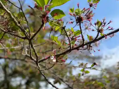 伊勢の国 四天王寺(三重県)