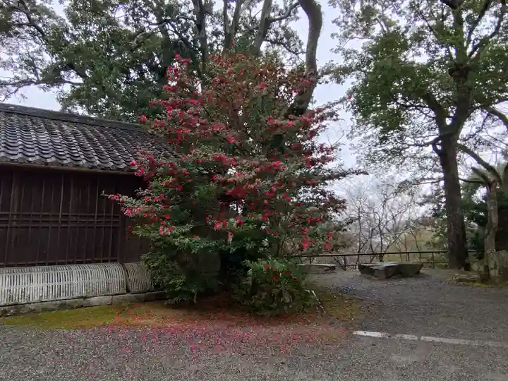 石山寺(滋賀県)