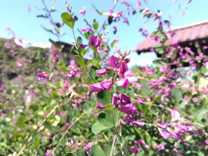 瑞源寺(福井県)