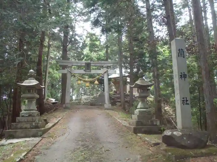 蘭神社(愛知県)