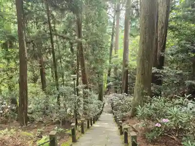 室生寺奥の院(奈良県)