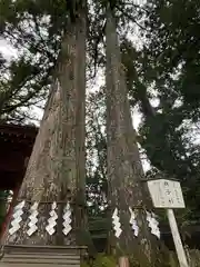 日光二荒山神社(栃木県)