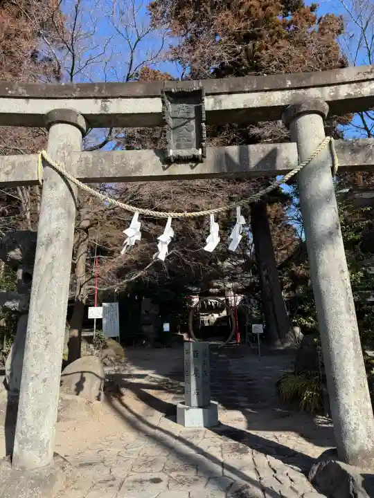渋川八幡宮の{uncategorized: "未分類", other: "その他", undefined: "問題あり", building: "その他建物", grave: "お墓", sacred_gate: "鳥居", guardian: "狛犬", statue: "像", buddha: "仏像", history: "歴史", nature: "自然", garden: "庭園", animal: "動物", pagoda: "塔", temizu: "手水舎", mountain_gate: "山門・神門", sanctuary: "本殿・本堂", subordinate: "末社・摂社", art: "芸術", scenery: "景色", jizo: "地蔵", ema: "絵馬", goshuin: "御朱印", omikuji: "おみくじ", items: "授与品その他", amulet: "お守り", goshuincho: "御朱印帳", eats: "食事", festival: "お祭り", votive_dance: "神楽", shichigosan: "七五三参", wedding: "結婚式", experience: "体験その他", initially: "初詣", around: "周辺", anti_infection: "感染症対策"}