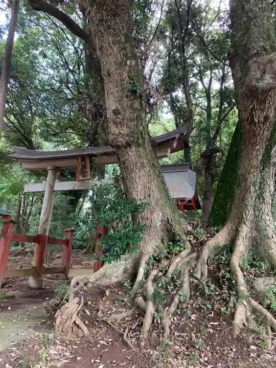 天満神社(千葉県)