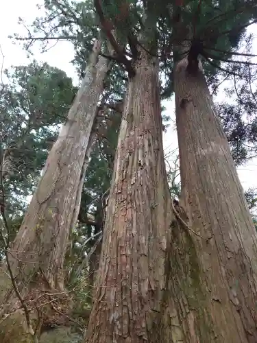 大神山神社奥宮(鳥取県)