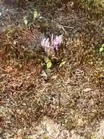 実光院(京都府)