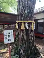 前原御嶽神社(千葉県)