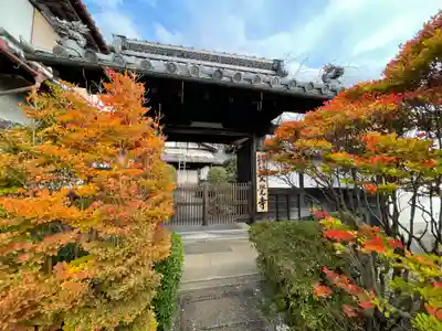文覚寺の山門・神門