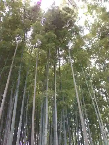 勝光院(東京都)