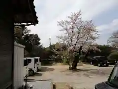 武蔵第六天神社の建物その他