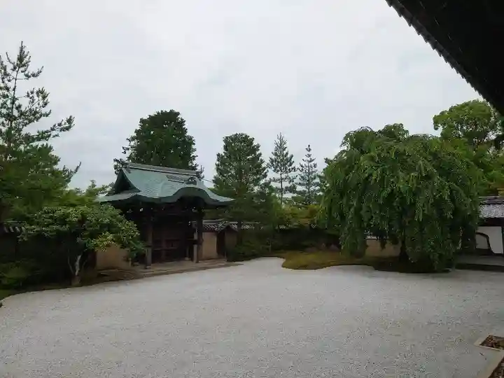 高台寺(高台寿聖禅寺・高臺寺)の庭園