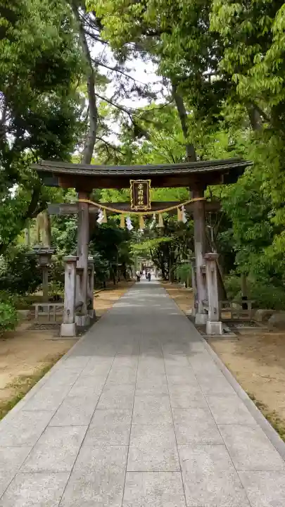 辛國神社の{uncategorized: "未分類", other: "その他", undefined: "問題あり", building: "その他建物", grave: "お墓", sacred_gate: "鳥居", guardian: "狛犬", statue: "像", buddha: "仏像", history: "歴史", nature: "自然", garden: "庭園", animal: "動物", pagoda: "塔", temizu: "手水舎", mountain_gate: "山門・神門", sanctuary: "本殿・本堂", subordinate: "末社・摂社", art: "芸術", scenery: "景色", jizo: "地蔵", ema: "絵馬", goshuin: "御朱印", omikuji: "おみくじ", items: "授与品その他", amulet: "お守り", goshuincho: "御朱印帳", eats: "食事", festival: "お祭り", votive_dance: "神楽", shichigosan: "七五三参", wedding: "結婚式", experience: "体験その他", initially: "初詣", around: "周辺", anti_infection: "感染症対策"}