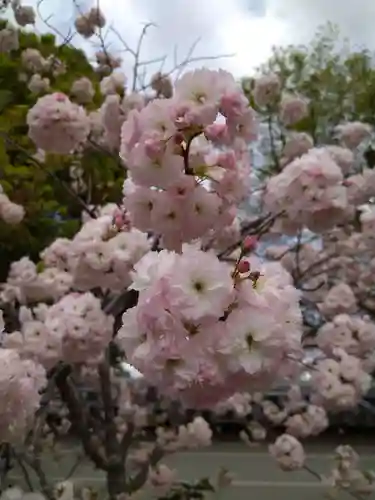 仁和寺(京都府)