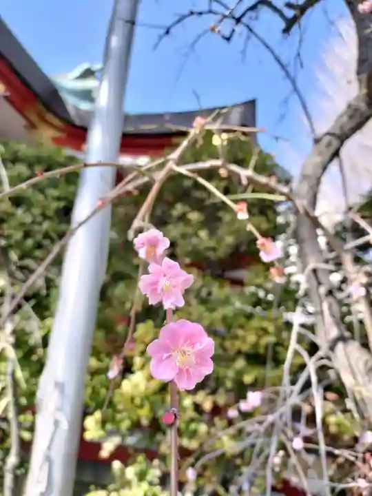 居木神社の{uncategorized: "未分類", other: "その他", undefined: "問題あり", building: "その他建物", grave: "お墓", sacred_gate: "鳥居", guardian: "狛犬", statue: "像", buddha: "仏像", history: "歴史", nature: "自然", garden: "庭園", animal: "動物", pagoda: "塔", temizu: "手水舎", mountain_gate: "山門・神門", sanctuary: "本殿・本堂", subordinate: "末社・摂社", art: "芸術", scenery: "景色", jizo: "地蔵", ema: "絵馬", goshuin: "御朱印", omikuji: "おみくじ", items: "授与品その他", amulet: "お守り", goshuincho: "御朱印帳", eats: "食事", festival: "お祭り", votive_dance: "神楽", shichigosan: "七五三参", wedding: "結婚式", experience: "体験その他", initially: "初詣", around: "周辺", anti_infection: "感染症対策"}