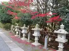 隨心院（随心院）の建物その他