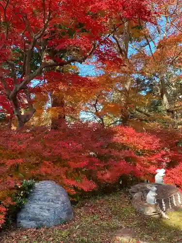 出雲大神宮(京都府)