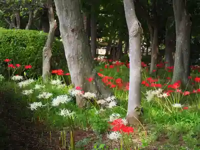 祖光院(千葉県)